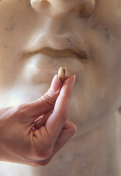 Salted Pistachio in Shell